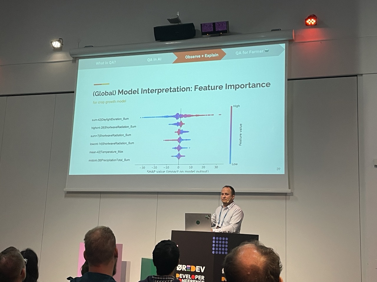 Model interpretation: Feature importance diagram